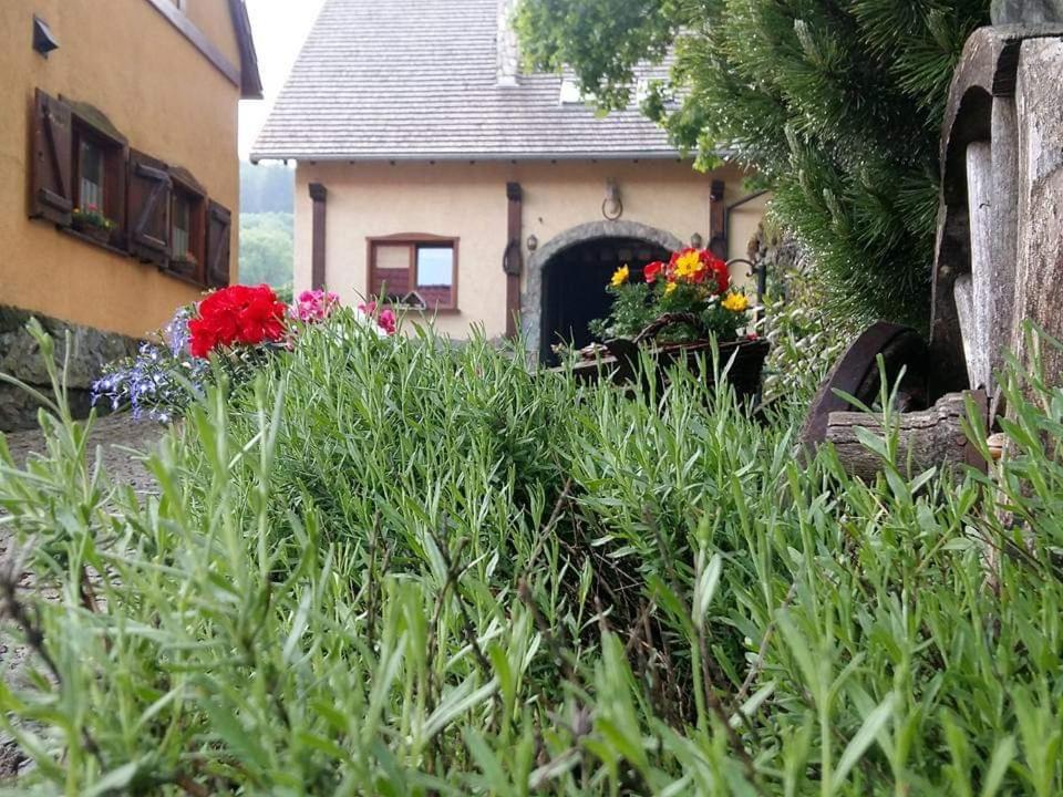 Agroturystyka Agro-Podkówka Marciszow Exterior foto
