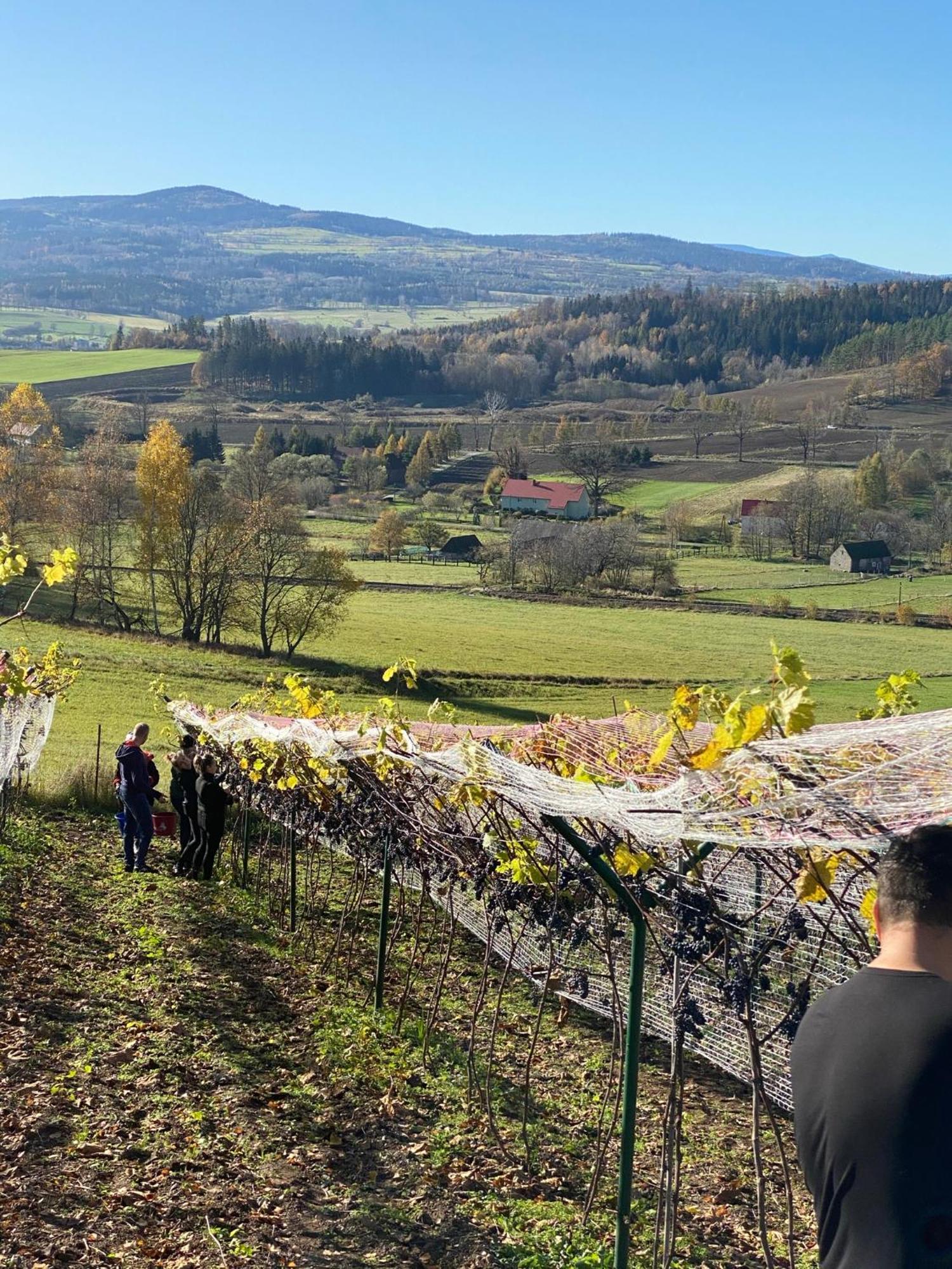 Agroturystyka Agro-Podkówka Marciszow Exterior foto