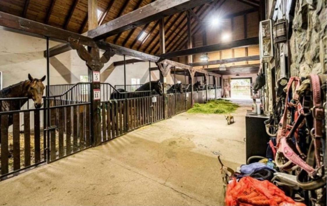 Agroturystyka Agro-Podkówka Marciszow Exterior foto