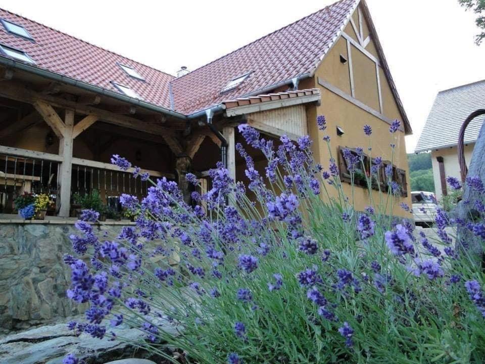 Agroturystyka Agro-Podkówka Marciszow Exterior foto